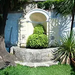 Il Nido Del Gabbiano