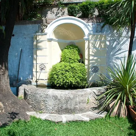 Il Nido Del Gabbiano