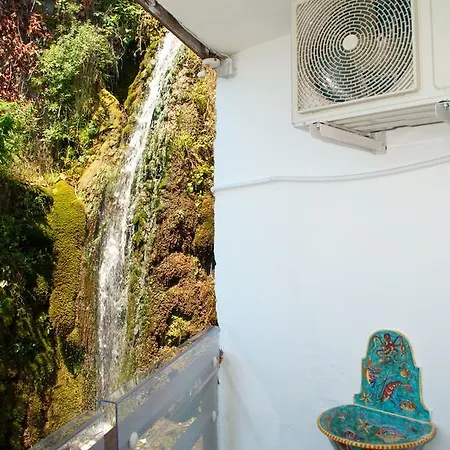 Il Nido Del Gabbiano Bed & Breakfast *