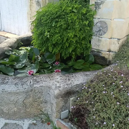 Il Nido Del Gabbiano Bed & Breakfast