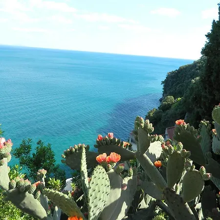 Bed & Breakfast Il Nido Del Gabbiano